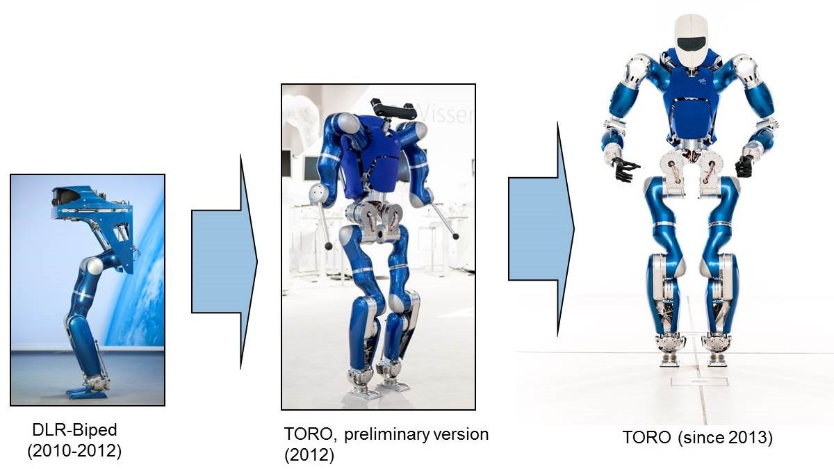 Toro’s developmental phases