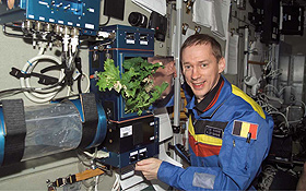 Ein Kosmonaut prüft den Wachstum eines Kopfsalates. Bild: NASA