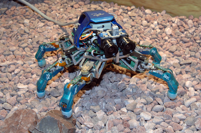 Dieser kleine Roboter läuft auf sechs Beinen. Er ist die Vorstufe für künftige Laufroboter zur Erforschung anderer Planeten. 
Bild: DLR