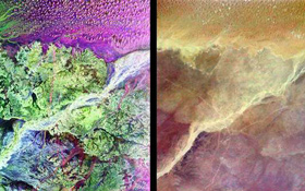 Zwei Bilder, die die Region um die versunkene Wüstenstadt Ubar zeigen. Die dünnen roten Linien auf dem linken Bild sind die alten Handelswege, die schließlich auf die Spur der Siedlung führten. Violett und grün zeigen die Bodenbeschaffenheit an, die graue Farbe markiert ein ausgetrocknetes Flusstal, ein sogenanntes Wadi. Bilder: NASA, JPL, DLR