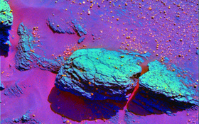 Auf dieser Aufnahme wegen der speziellen Einfärbung besonders gut sichtbar: An einigen Stellen ist das Gestein auf dem Mars von „Kügelchen“ bedeckt. Sie entstehen eigentlich nur, wenn Wasser im Spiel ist. Bild: NASA 