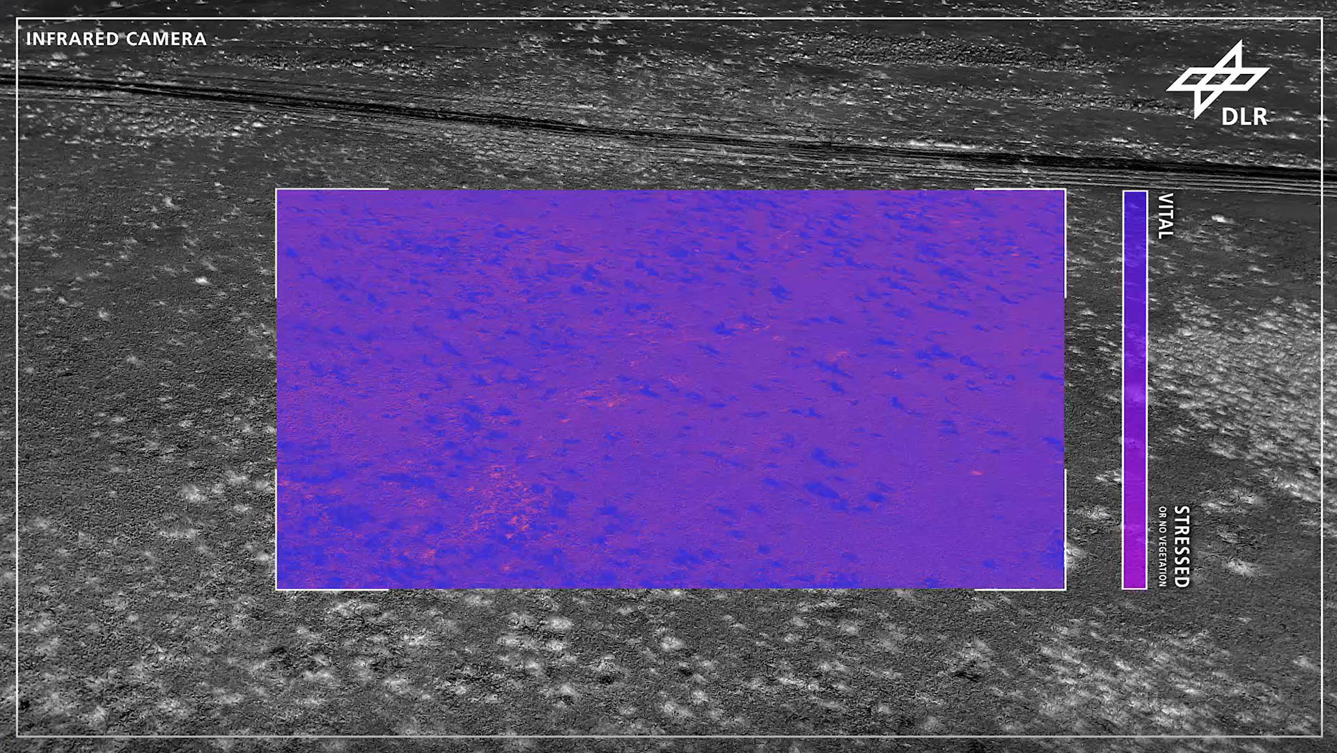 Die Multispektralkamera sieht detaillierter als das menschliche Auge. Während eine grüne vitale Wiese nahes Infrarot reflektiert, zeigt eine „gestresste“ Wiese bereits Unterschiede.