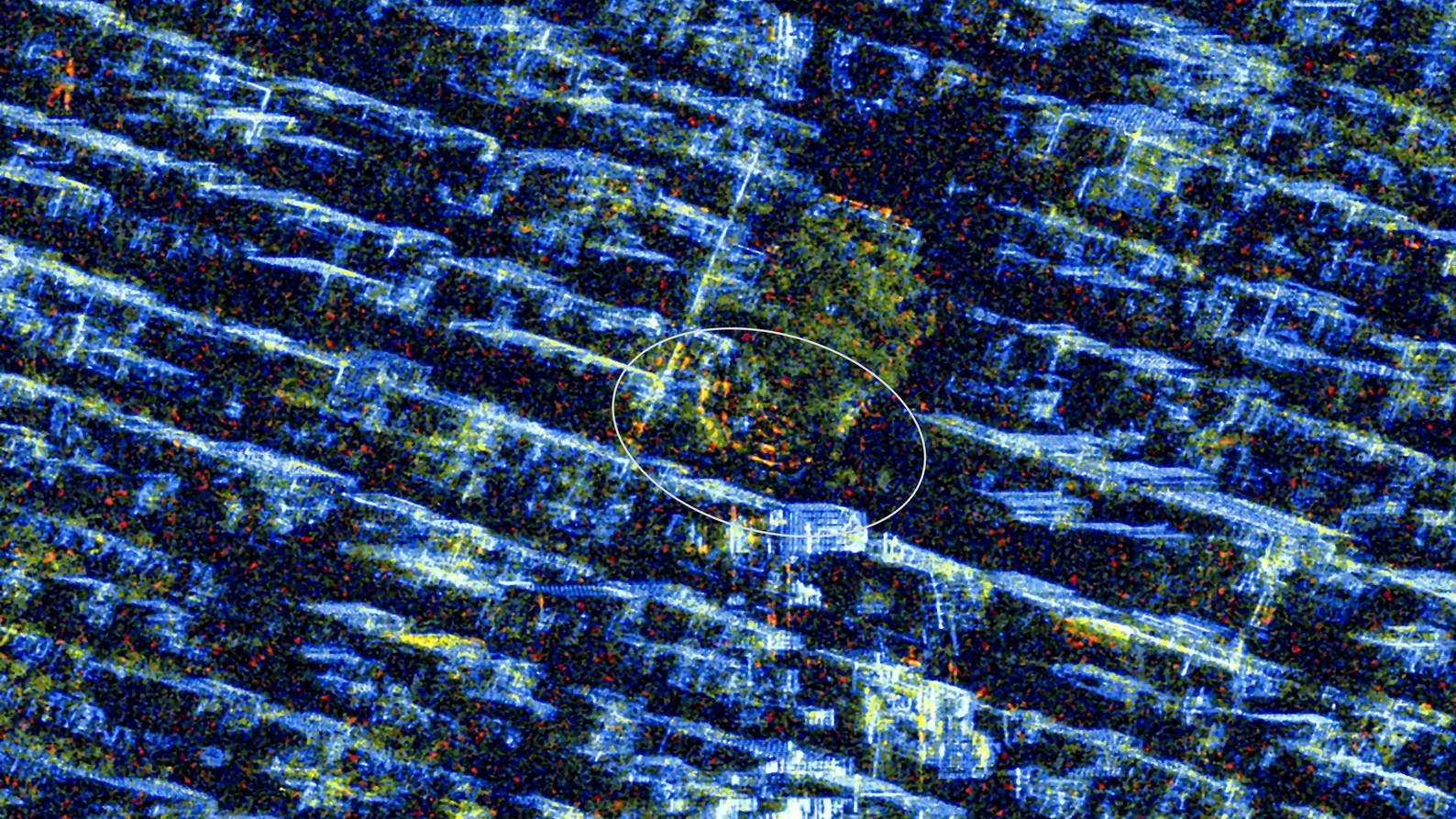 Inmitten von Manhattan findet der Union Square Holiday Market statt.