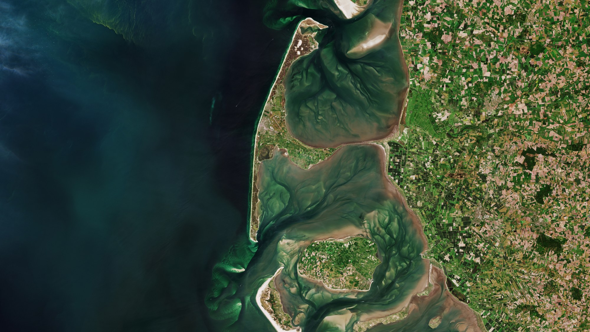 Algenbildung rund um die Insel Sylt