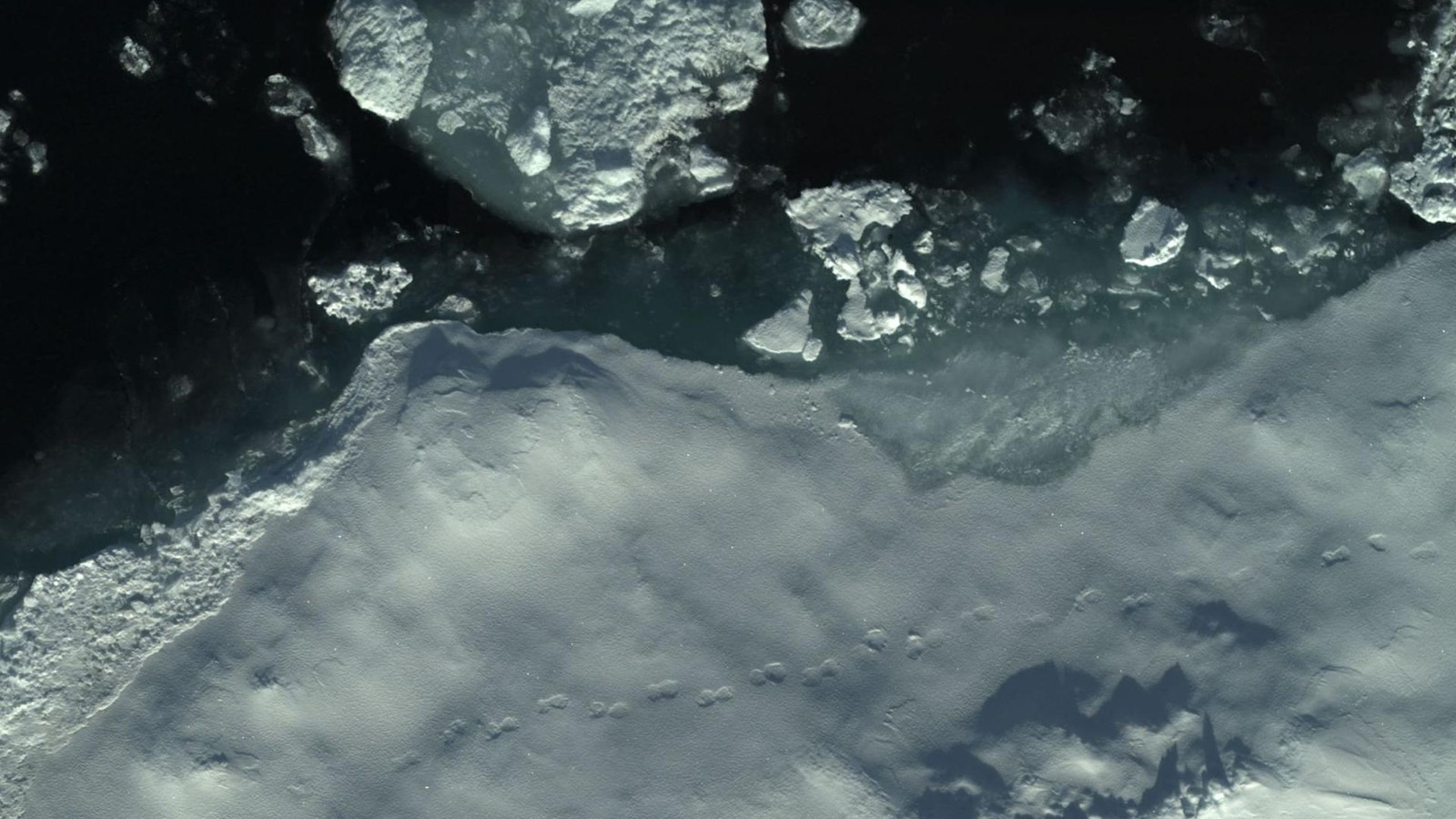 Bild von Eisstrukturen und Eisbärspuren auf einer arktischen Eisscholle