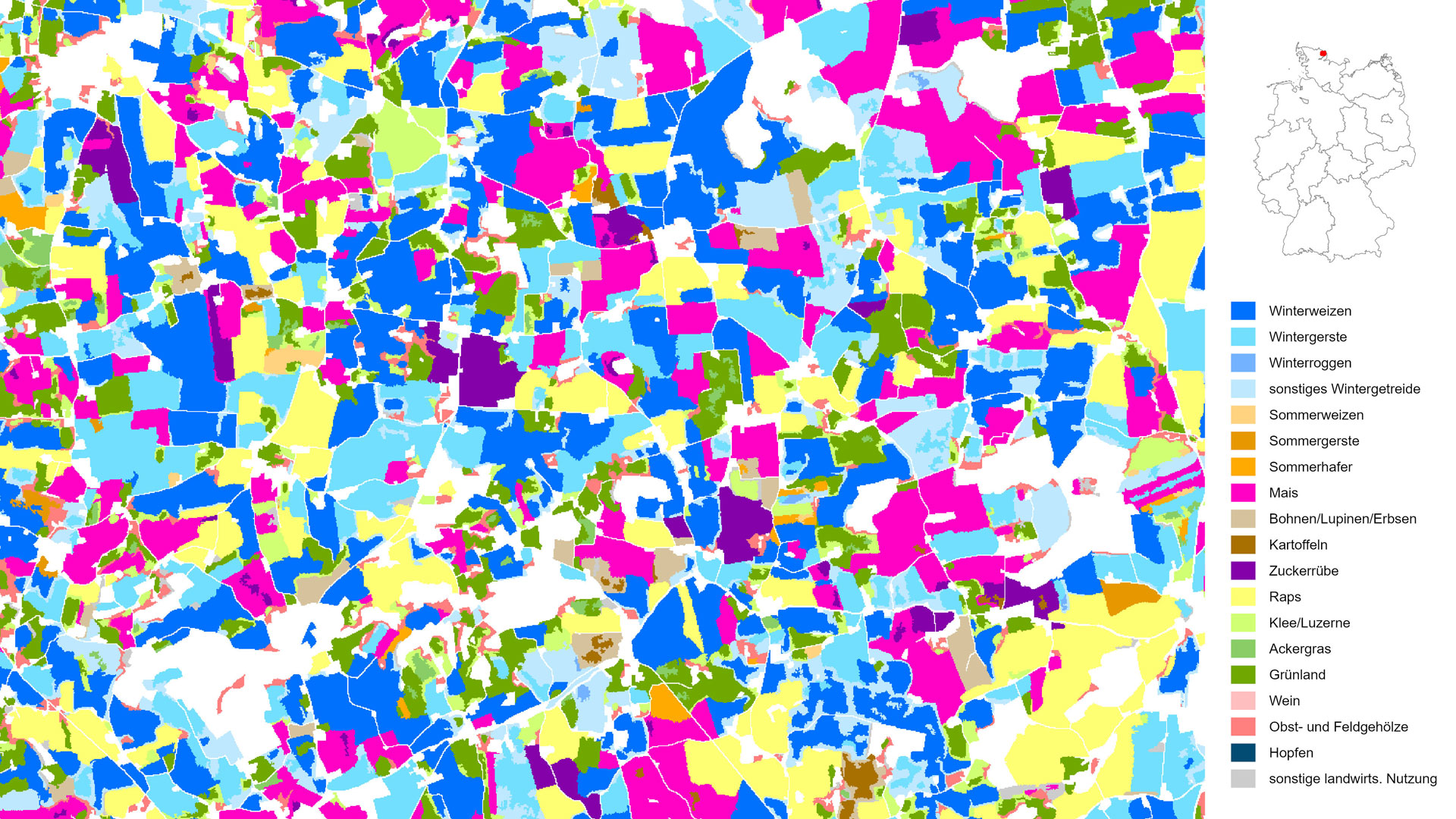 Die Kartierung zeigt die kultivierten Feldfrüchte und landwirtschaftlichen Hauptnutzungsarten in Deutschland mit einer Auflösung von zehn Metern. In dieser Darstellung für das Jahr 2019 ist eine strukturreiche Agrarlandschaft auf der Halbinsel Angeln nahe Flensburg zu sehen. Grund- und Endmoränen haben fruchtbare Geschiebelehme hinterlassen, so dass das Gebiet überwiegend für den Ackerbau und die Viehhaltung genutzt wird. Wintergetreide (Blautöne), Mais (pink) und Raps (gelb) dominieren neben kleineren Grünlandflächen (grün).