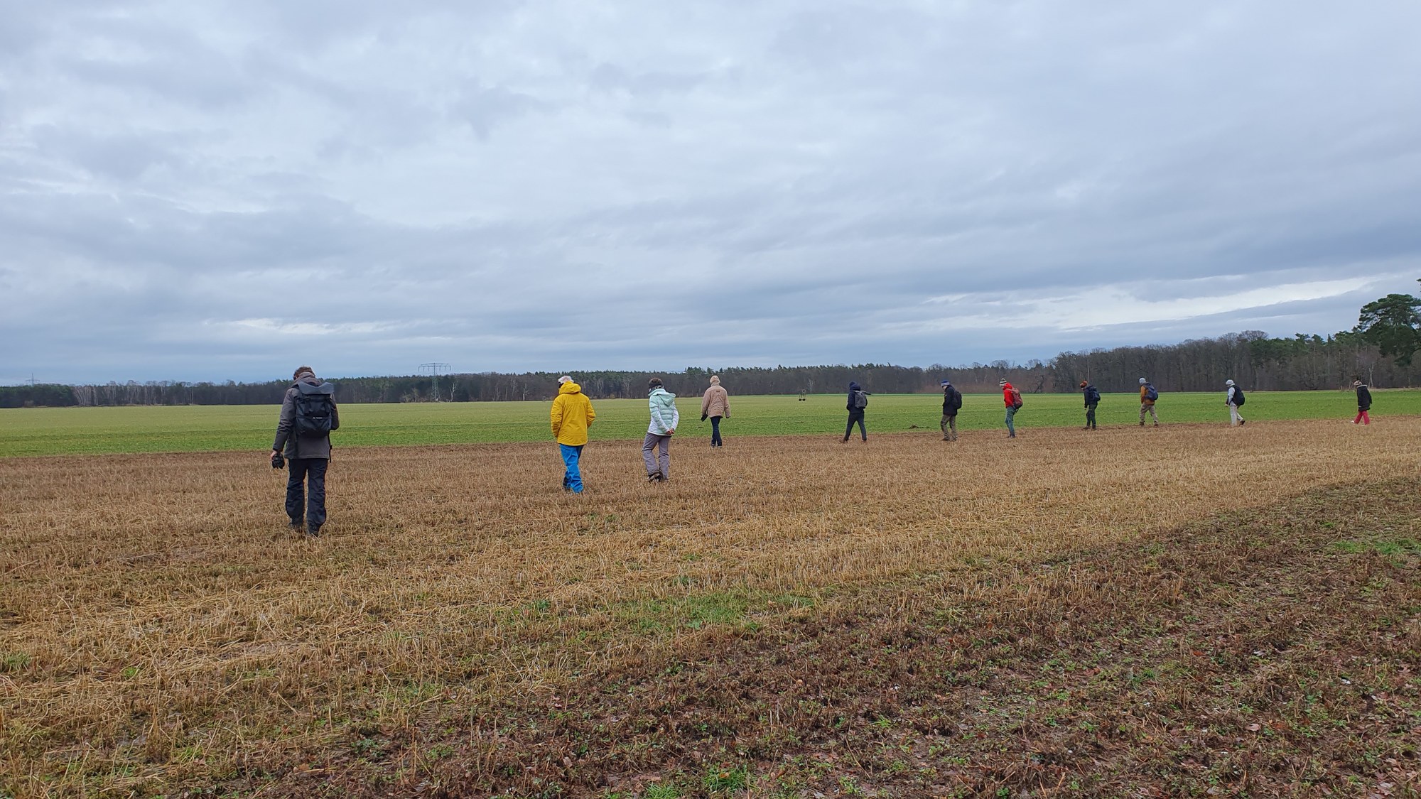 Suche auf einem Feld nach dem „Havelland-Meteoriten“
