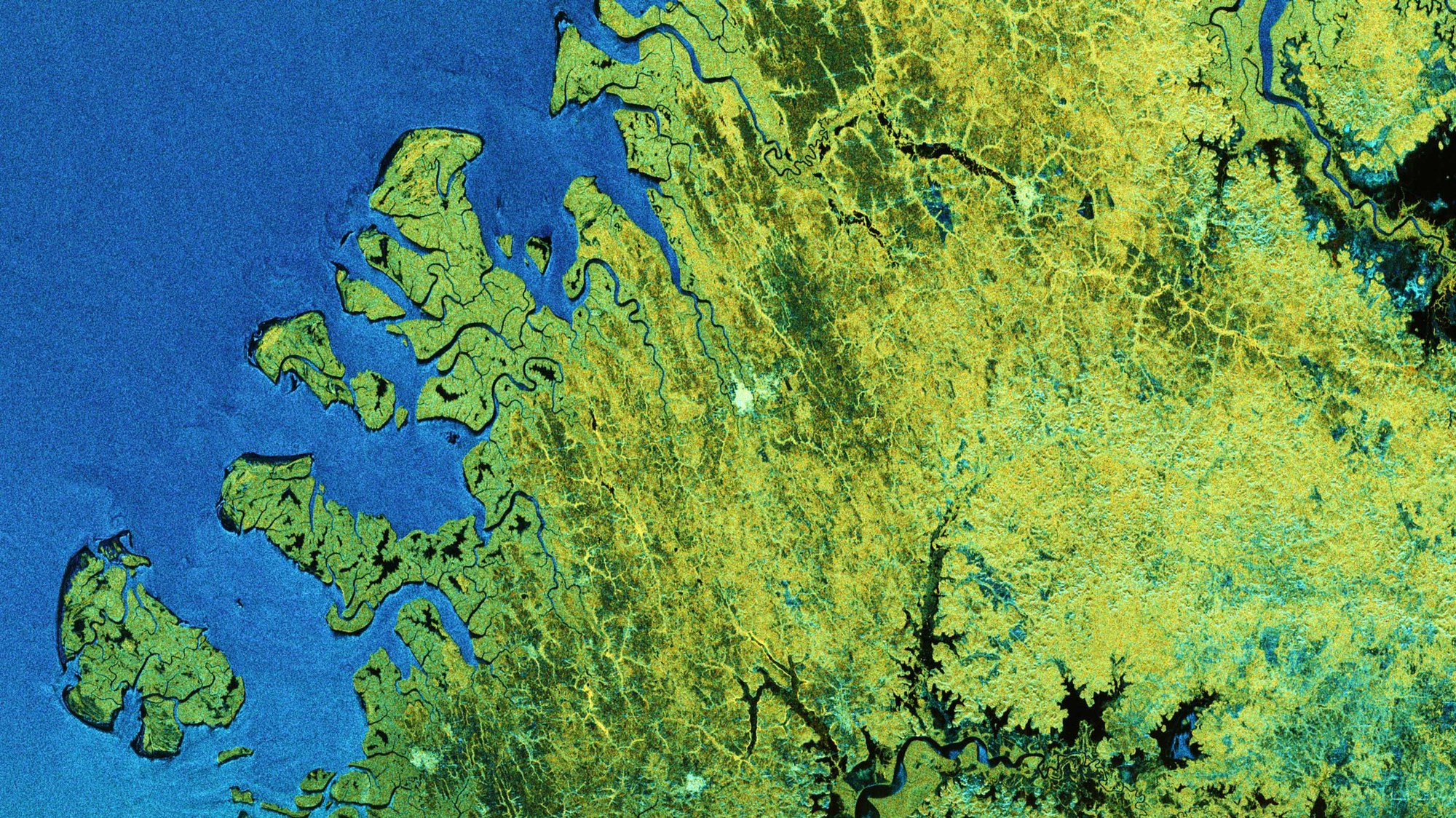 BIOMASS-Radaraufnahme der Region „Reentrâncias Maranhenses” im Bundesstaat Maranhão im Norden Brasiliens