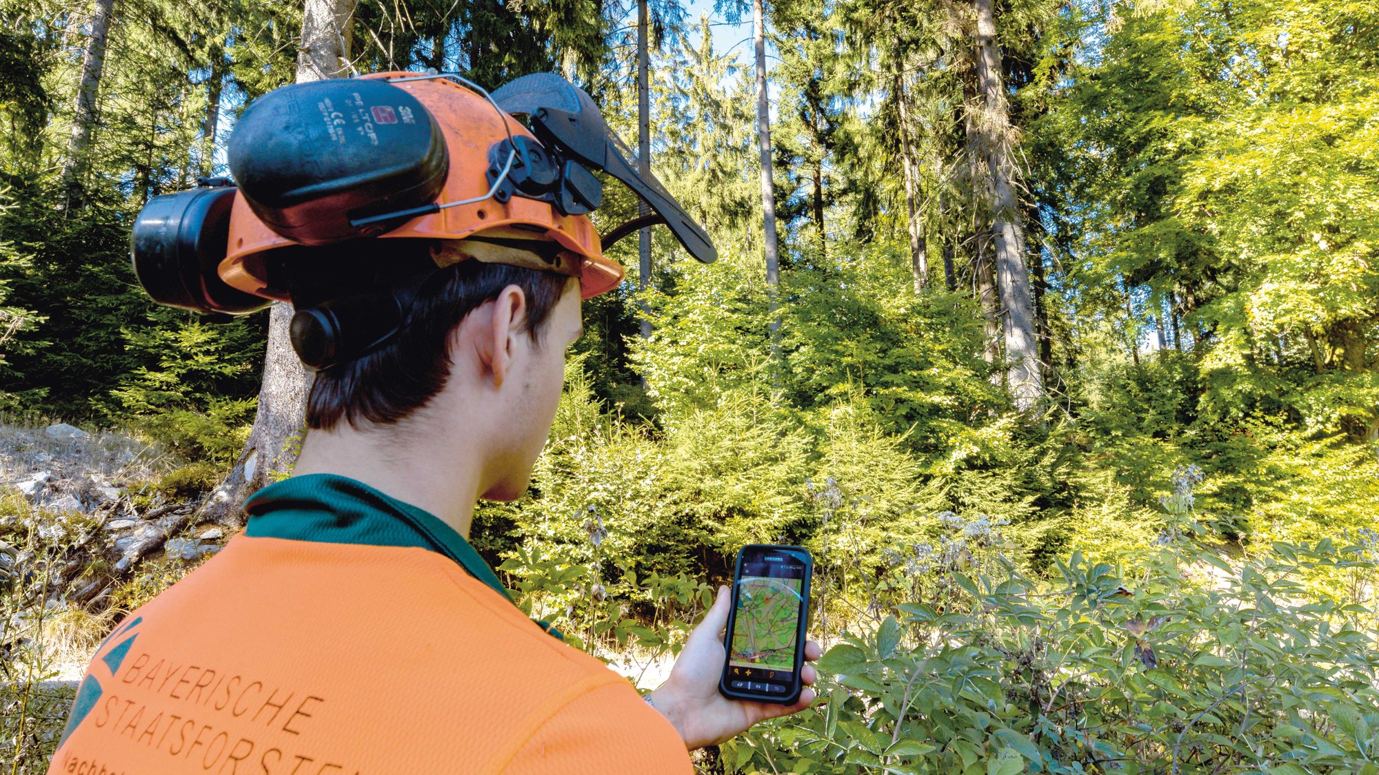Forstmitarbeiter nutzt die „ZE Insekt App“ im Wald.