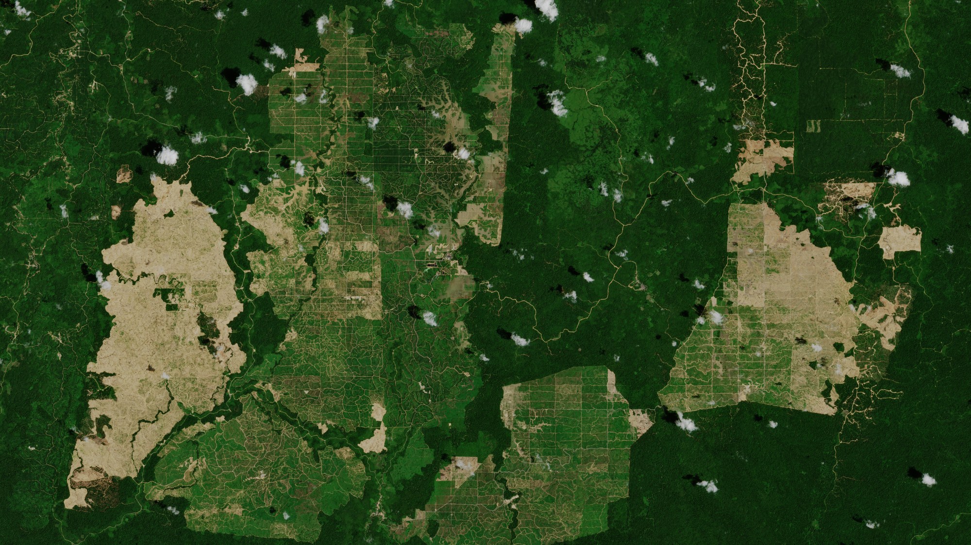 Palmölplantagen in Indonesien