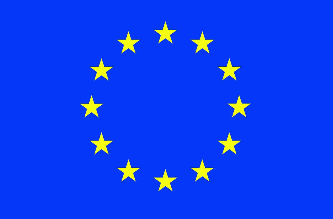 EU Flagge