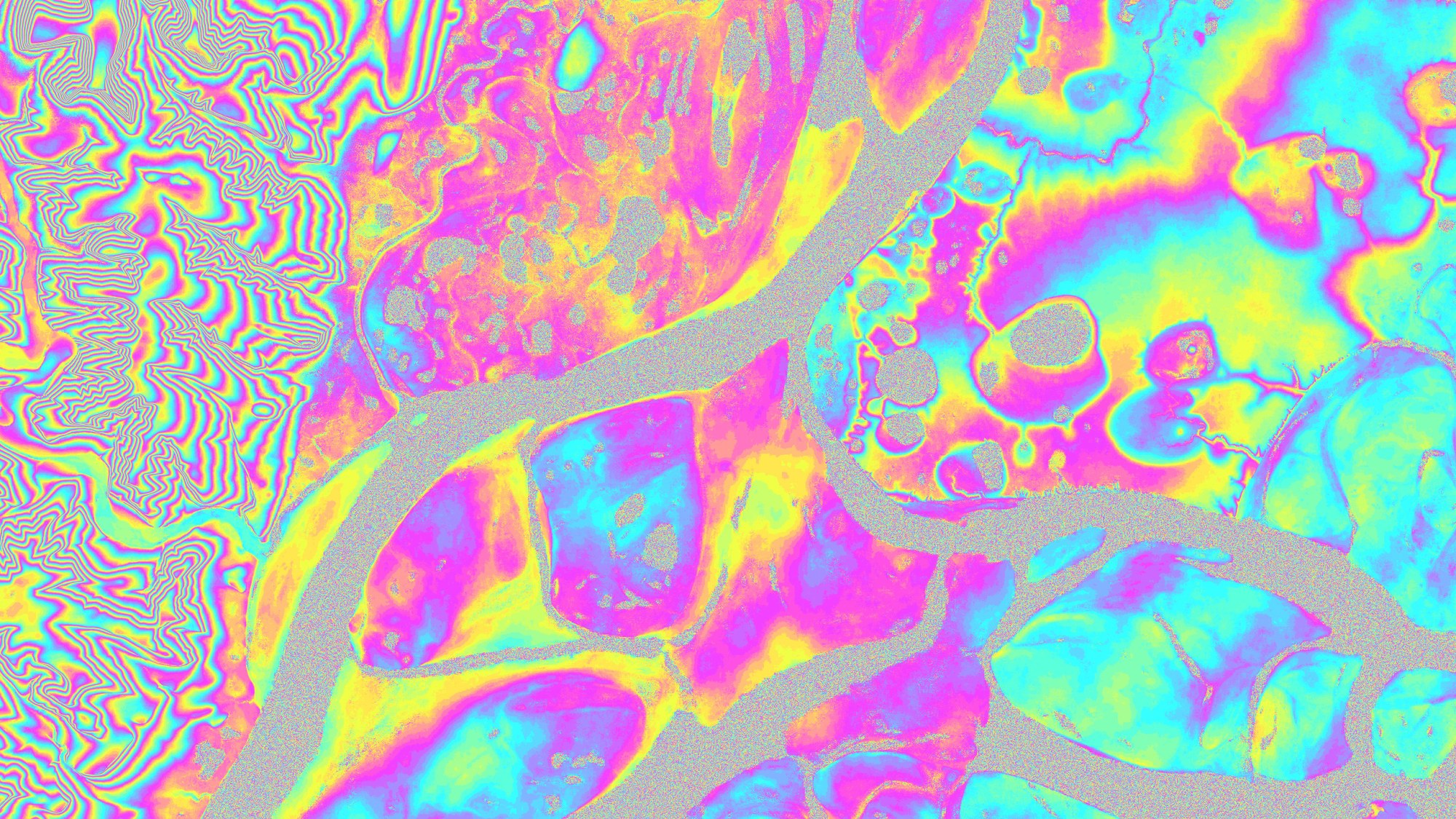 TanDEM-X-Interferogramm des zentralen Lena-Deltas