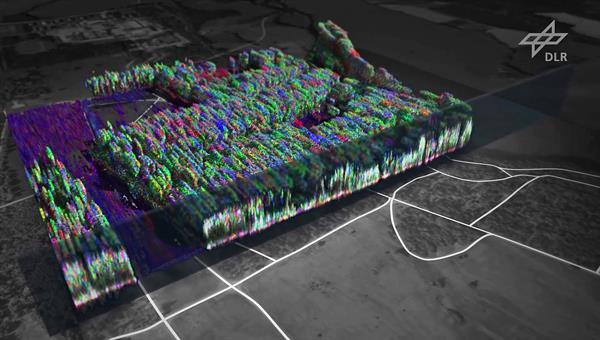 Biomasse: Tomographische Abbildung von Wald mit Daten vom DLR Flugzeug-SAR (mittlere Auflösung)