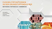 Studie über die Flexibilitaetsoptionen in der Grundstoffindustrie