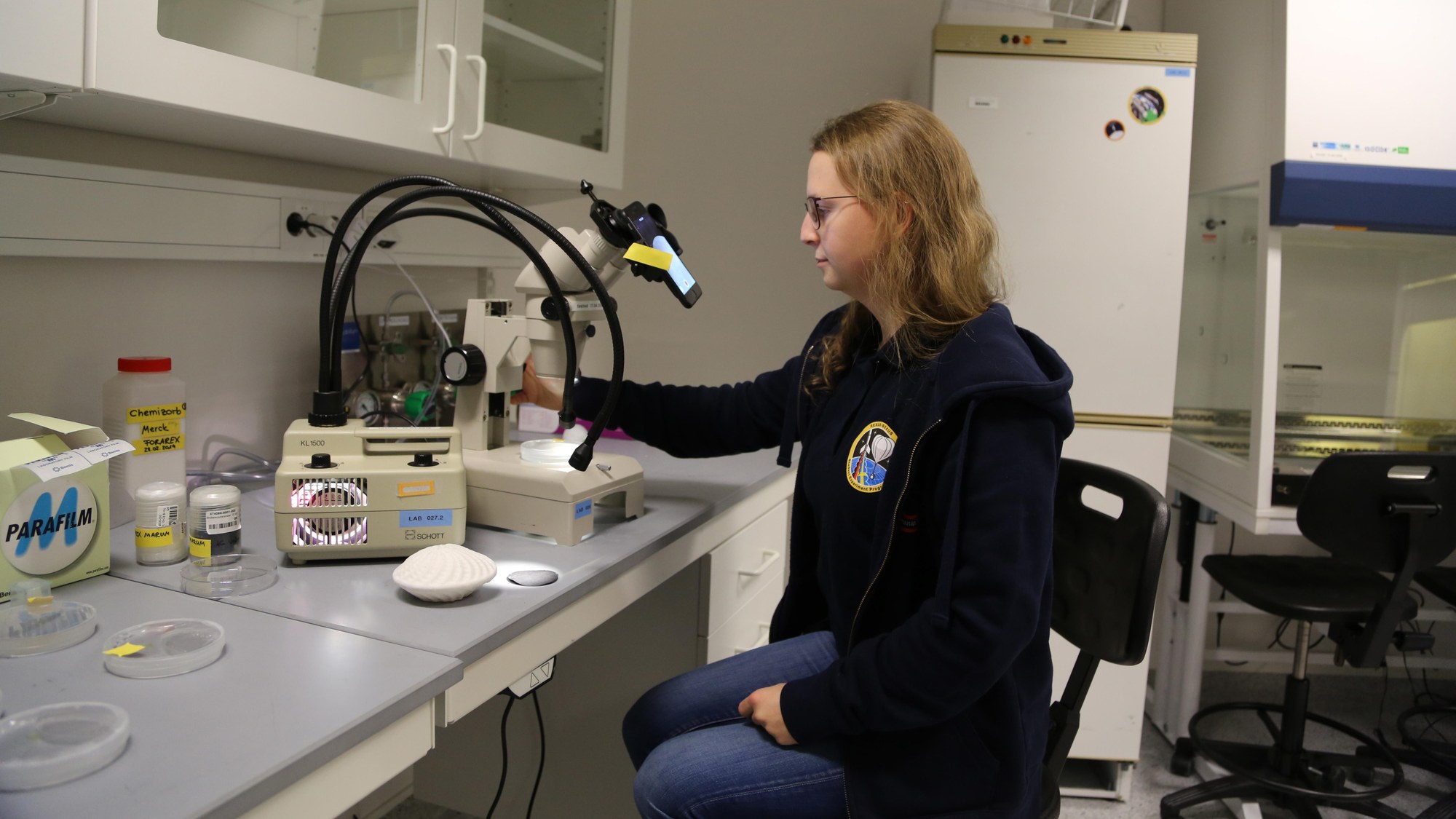 Wissenschaftlerin am Mikroskop