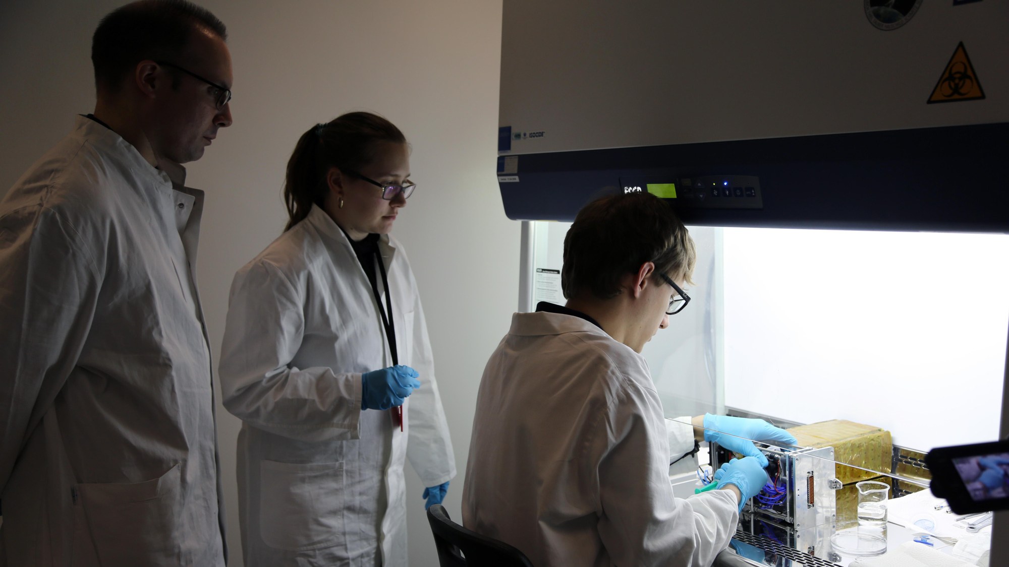 Einspritzen der Foraminiferen in die Experimentanlage