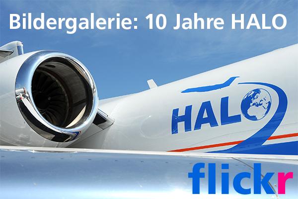 Flickr Bildergalerie