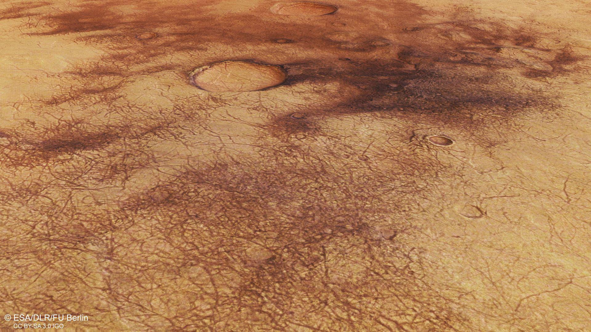 Perspektivischer Blick auf Staubteufelspuren in Chalcoporos Rupes