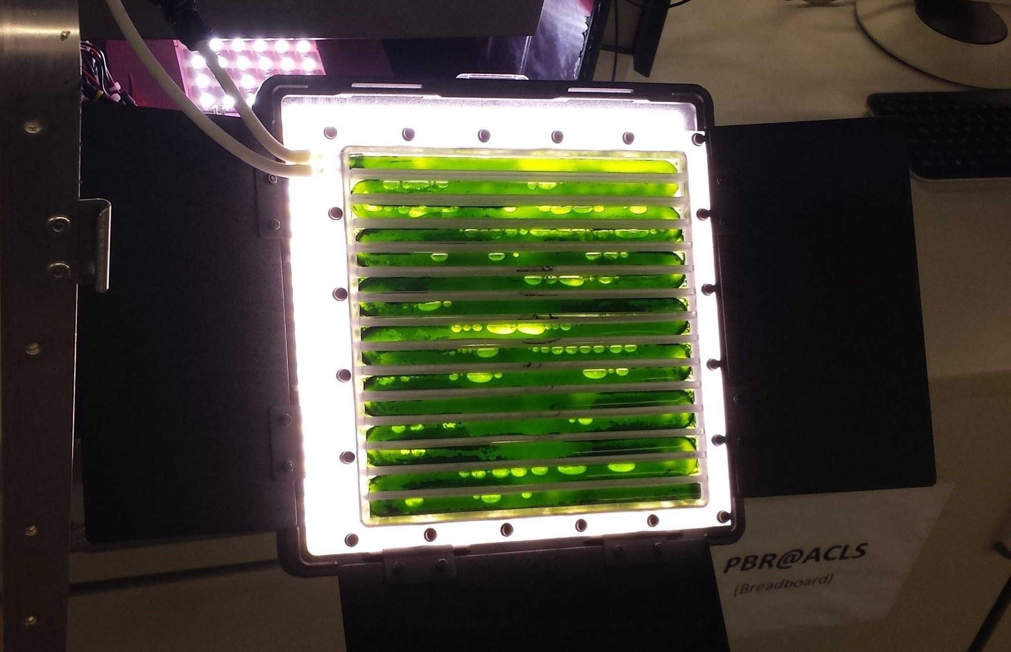 PBR Zuschnitt Photobioreaktor