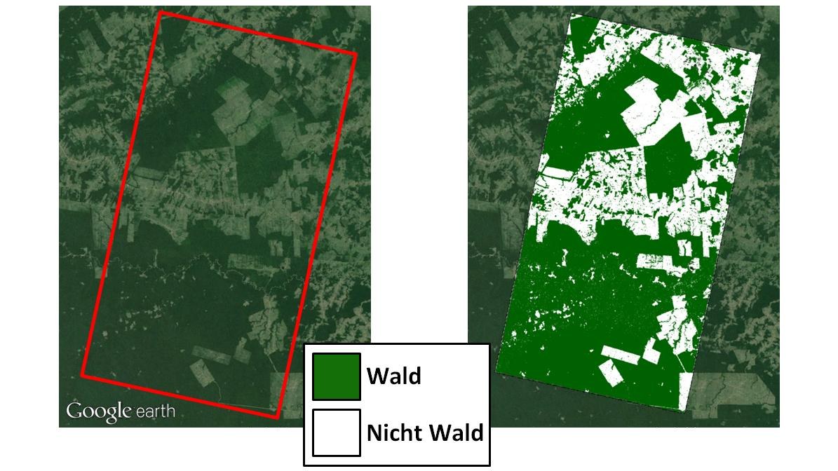 Vergleich: Abholzung im Amazonas
