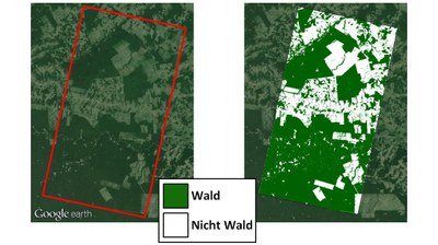 Vergleich: Abholzung im Amazonas