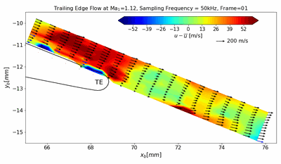 Animation der Strömung
