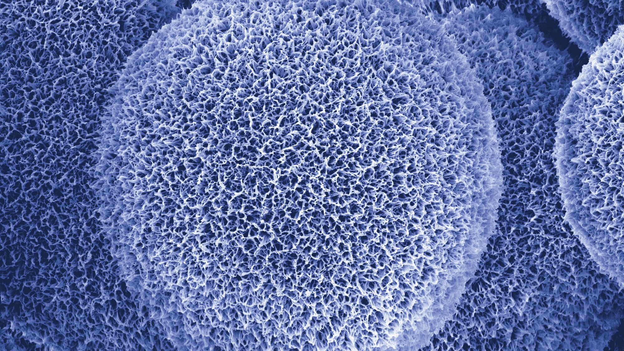 DLRmagazin 161 - Luftig-leicht und wandelbar