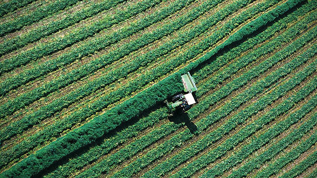 Anwendung Landwirtschaft