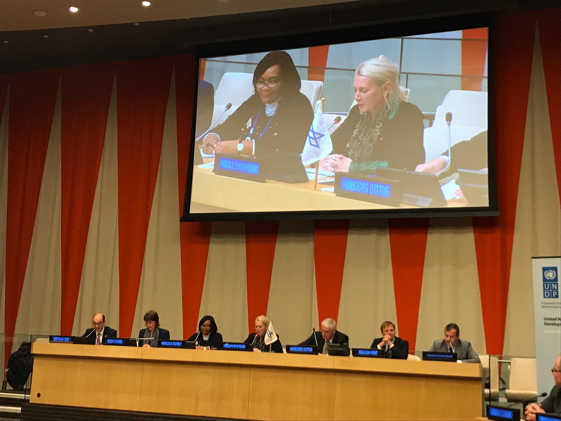 Der DLR-Vorstand diskutiert mit Vertretern der UNDP