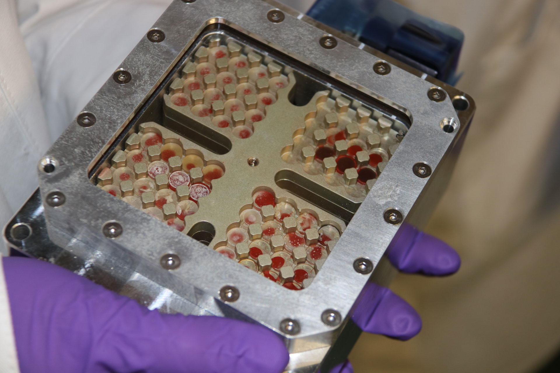 Probenträger MARSBOx bei den DLR-Mikrobiologen