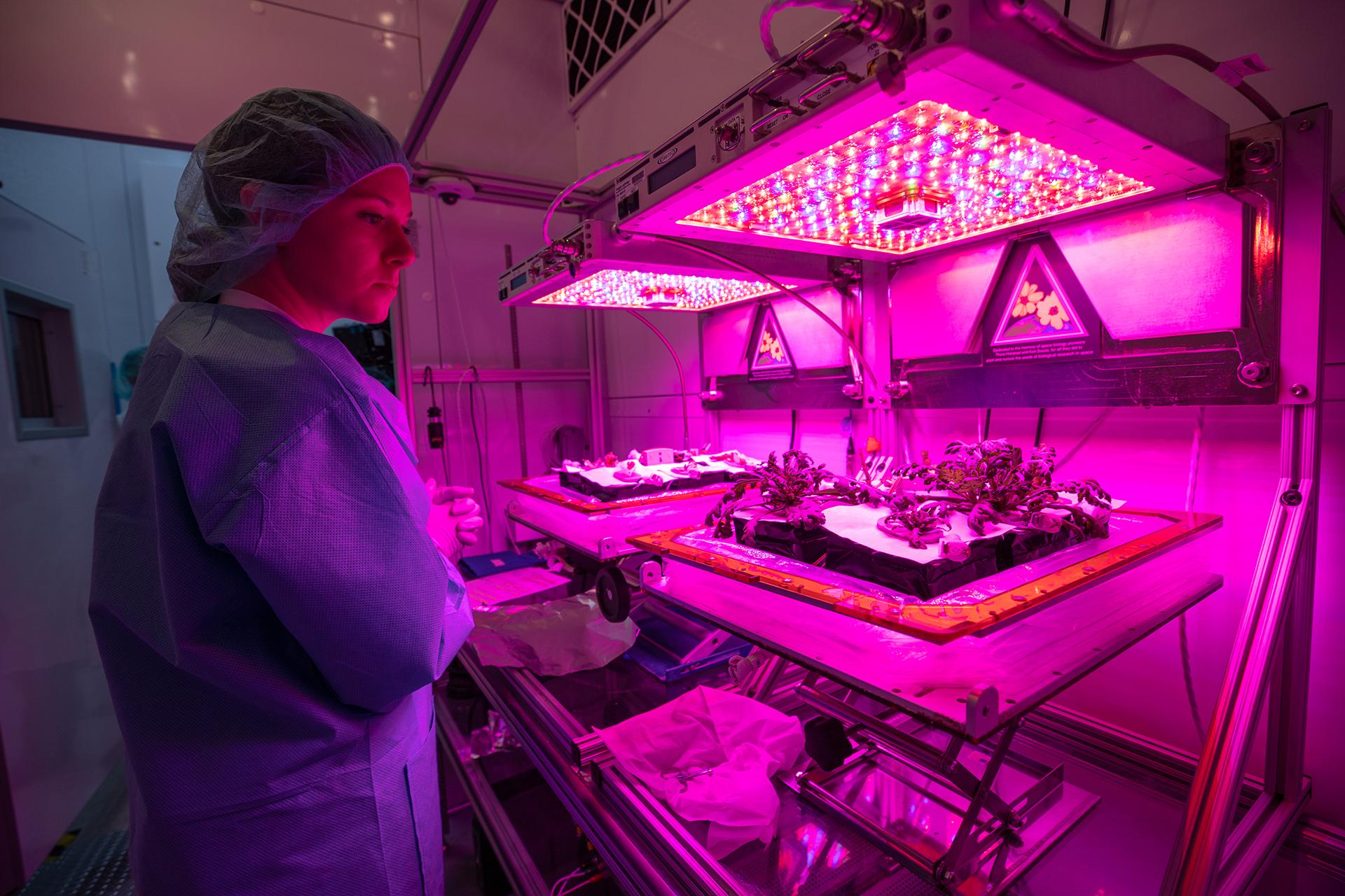 Jess Bunchek beim arbeiten am VEGGIE System