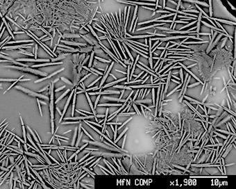 Rasterelektronen-mikroskopische Aufnahme des neuen Minerals
