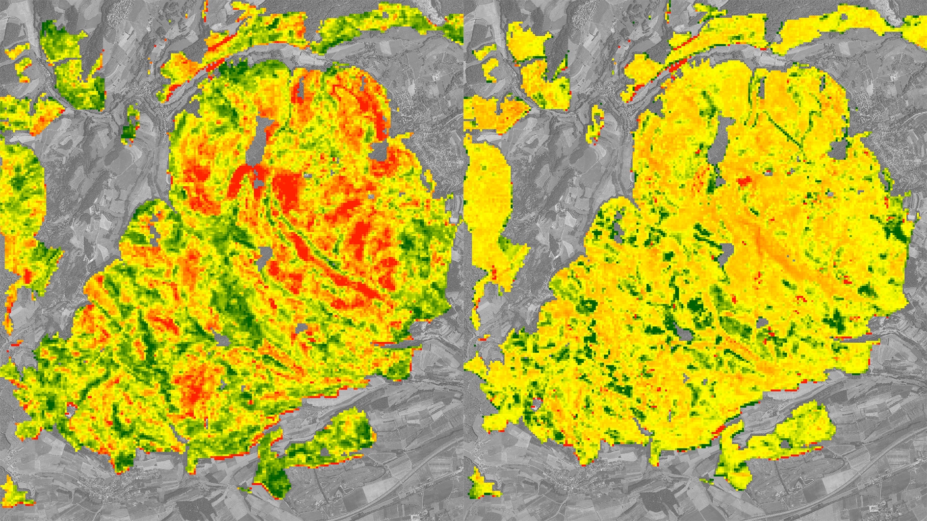 EnMAP als Waldbeobachter