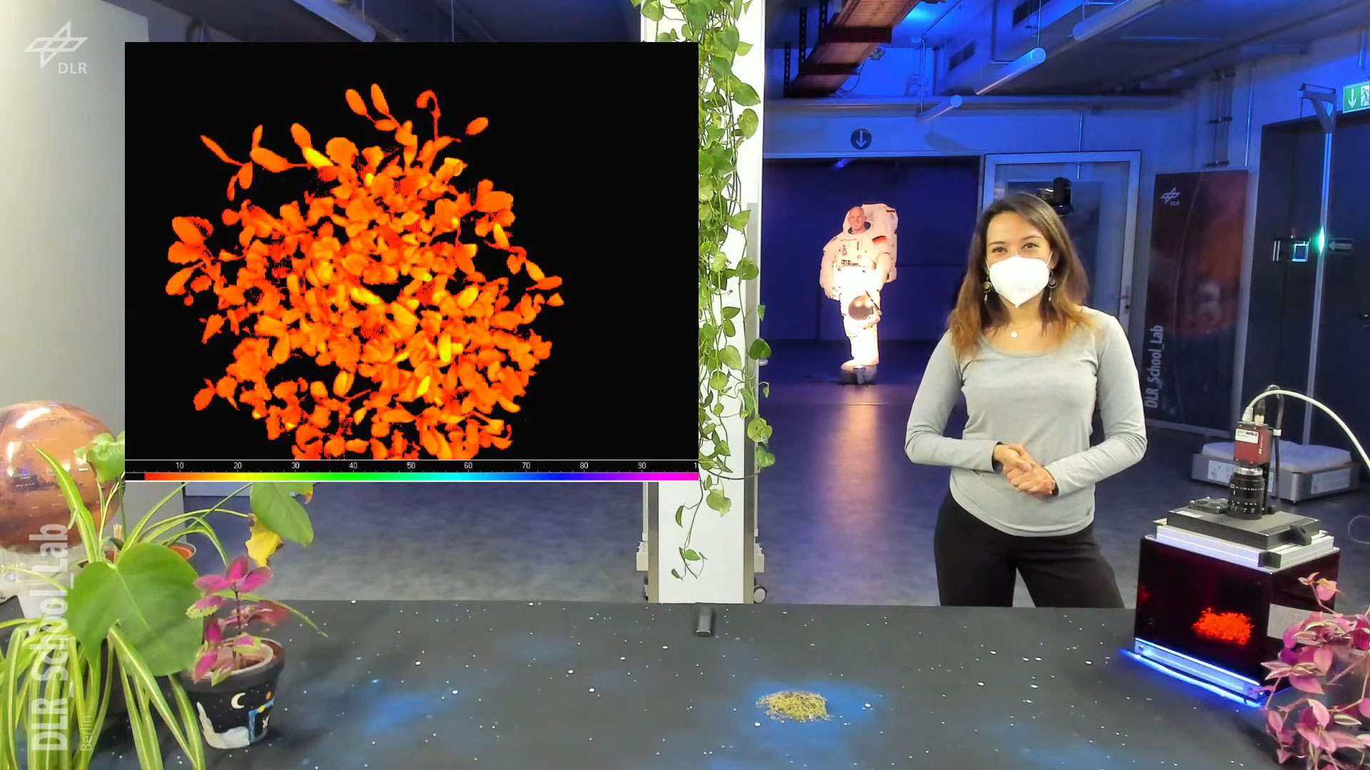 Naturwissenschaften anschaulich erklärt