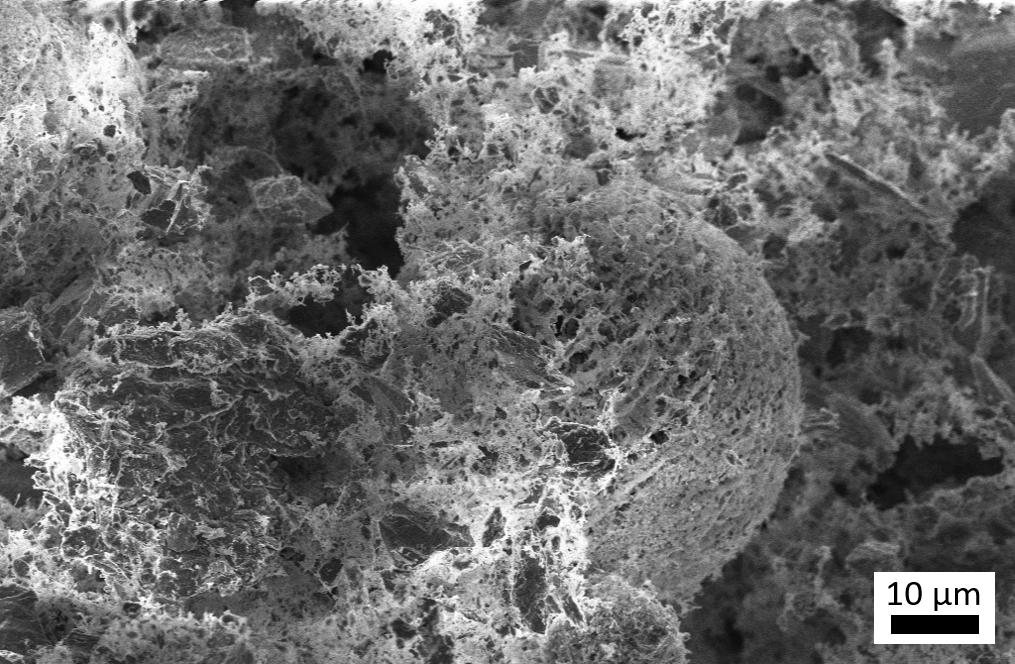 Mikroskopische Feinstruktur nach dem Experiment