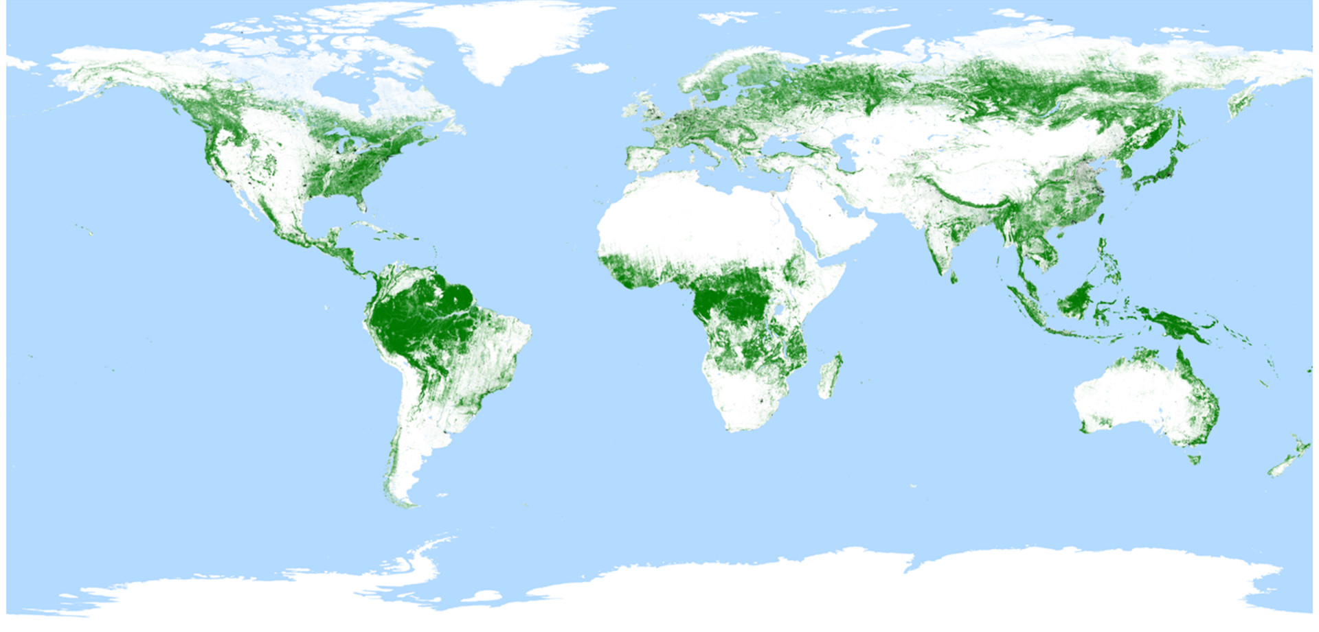 Globale TanDEM-X-Waldkarte