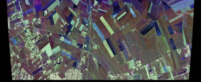 L-Band-Satellitenbild des Testgebiets bei Foggia.