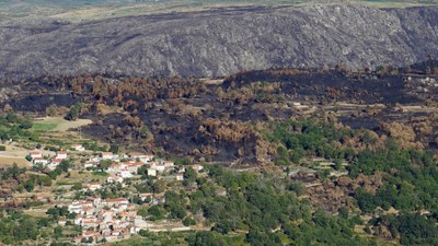 Folgen eines Brands in Portugal im Jahr 2016