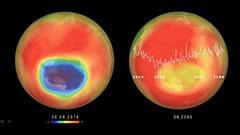 Friedensnobelpreis für IPPC