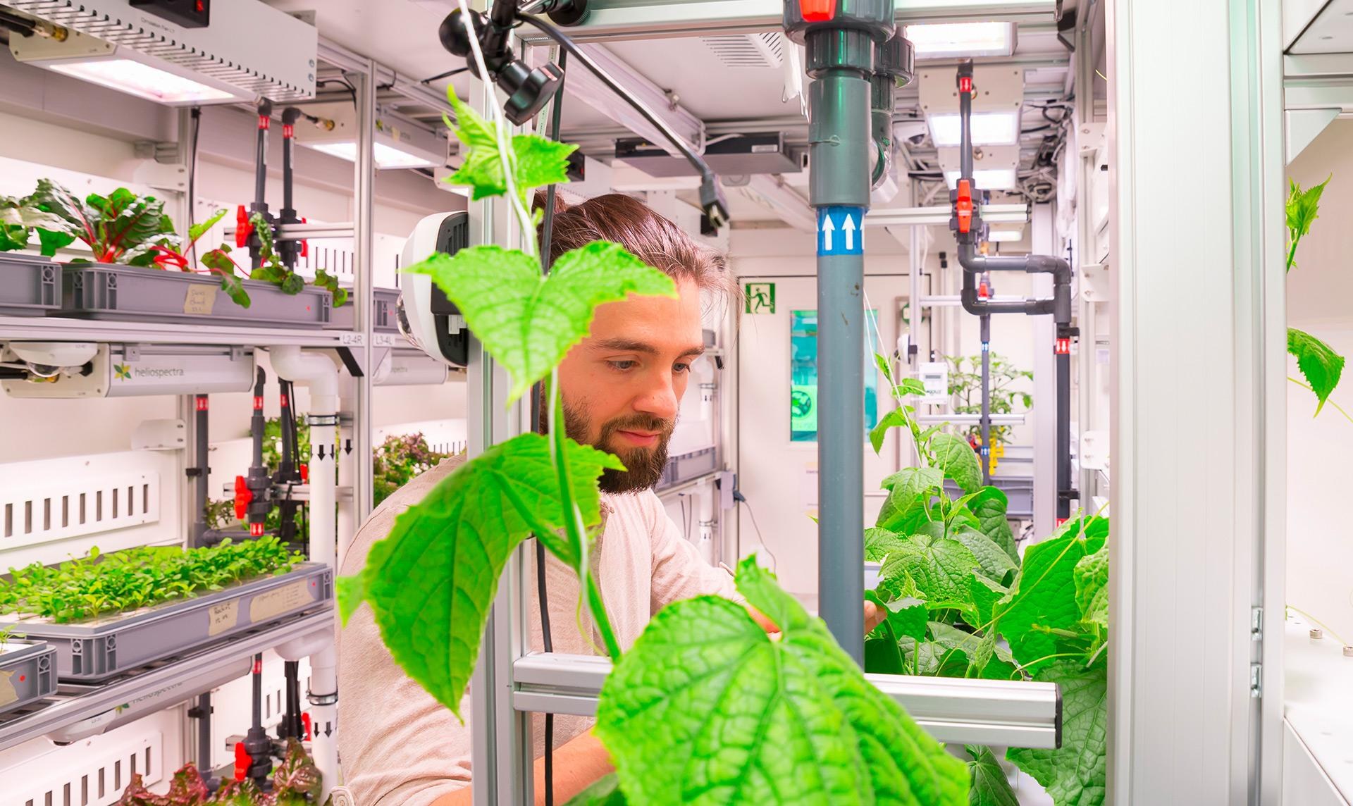 Arbeiten im EDEN ISS Container