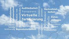 Softwareentwicklung