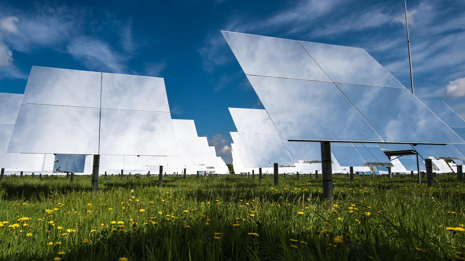 Spiegelfeld des Solarturms Jülich: bis zu 2000 Heliostate reflektieren konzentrierte Solarstrahlung zur Spitze des Solarturms.