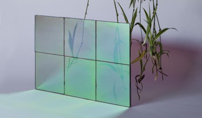Ansicht semitransparentes Photovoltaikmodul