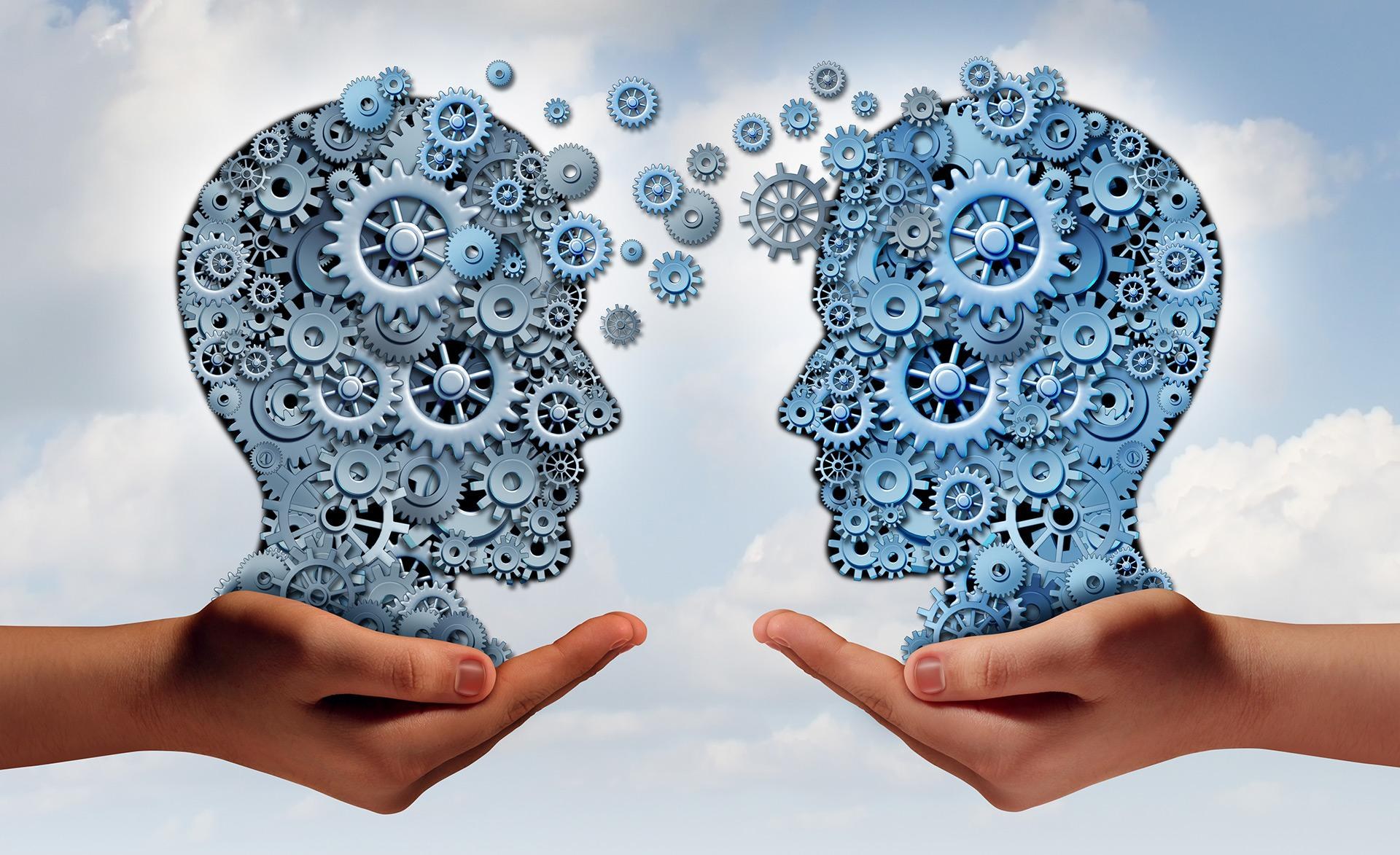 Diversity Management