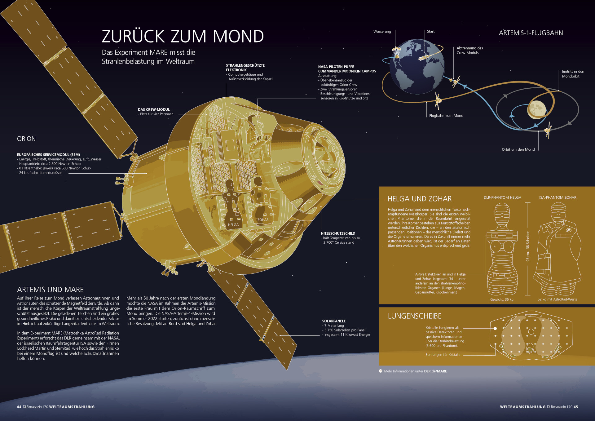 Infografik zum Experiment MARE