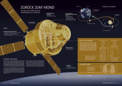 Infografik zum Experiment MARE