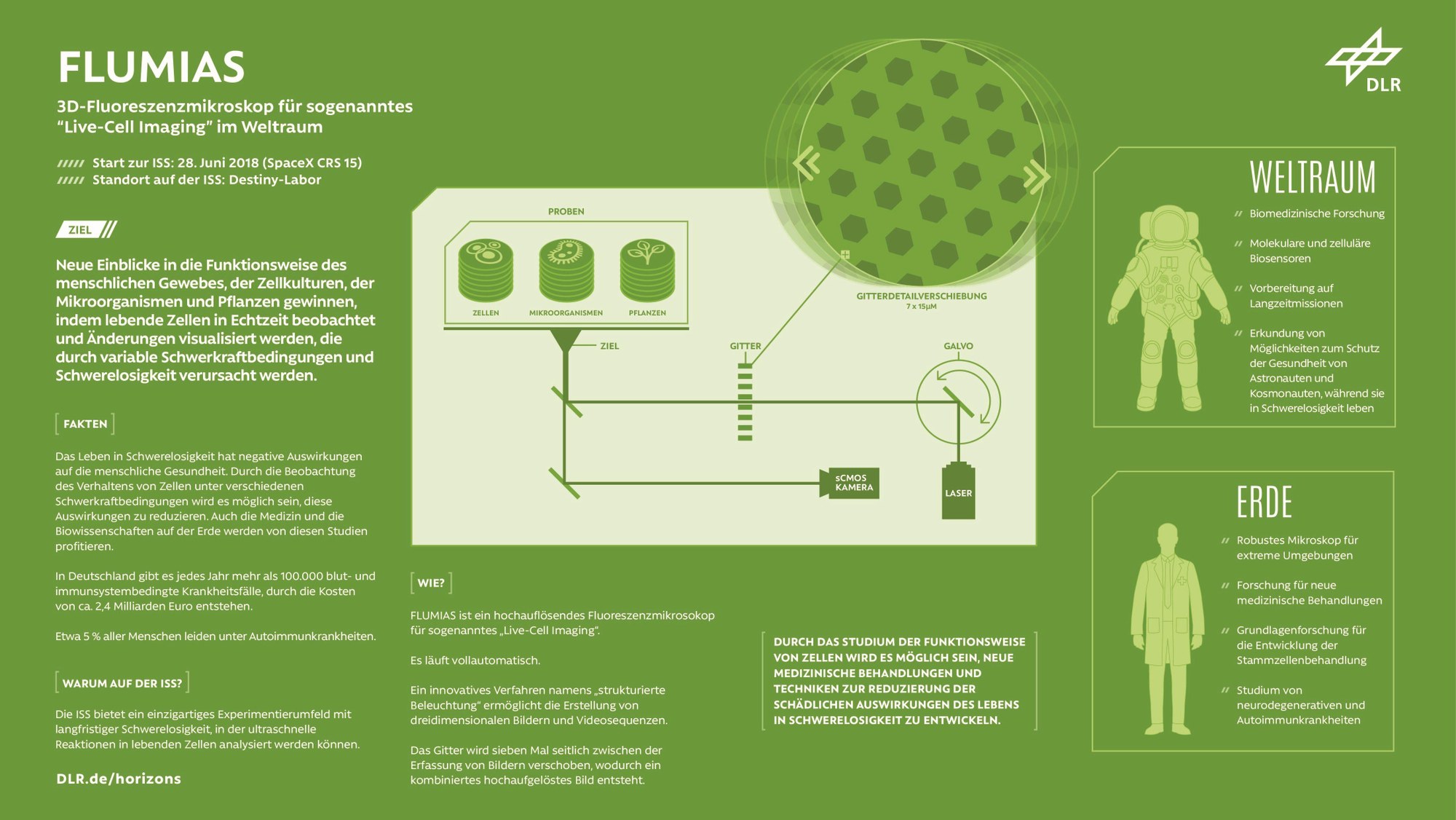 FLUMIAS: 3D-Fluoreszenzmikroskop für sogenanntes "Live-Cell imaging" im Weltraum