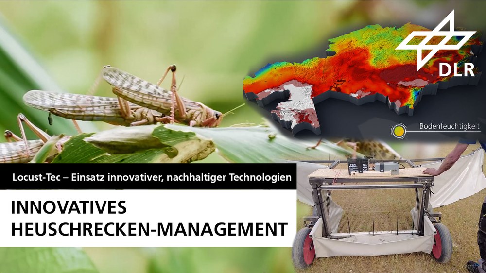 Video: Locust-Tec – Einführung innovativer und umweltschonender Technologien für das Heuschrecken-Management