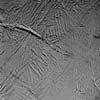 Erster Blick auf Saturnmond Enceladus