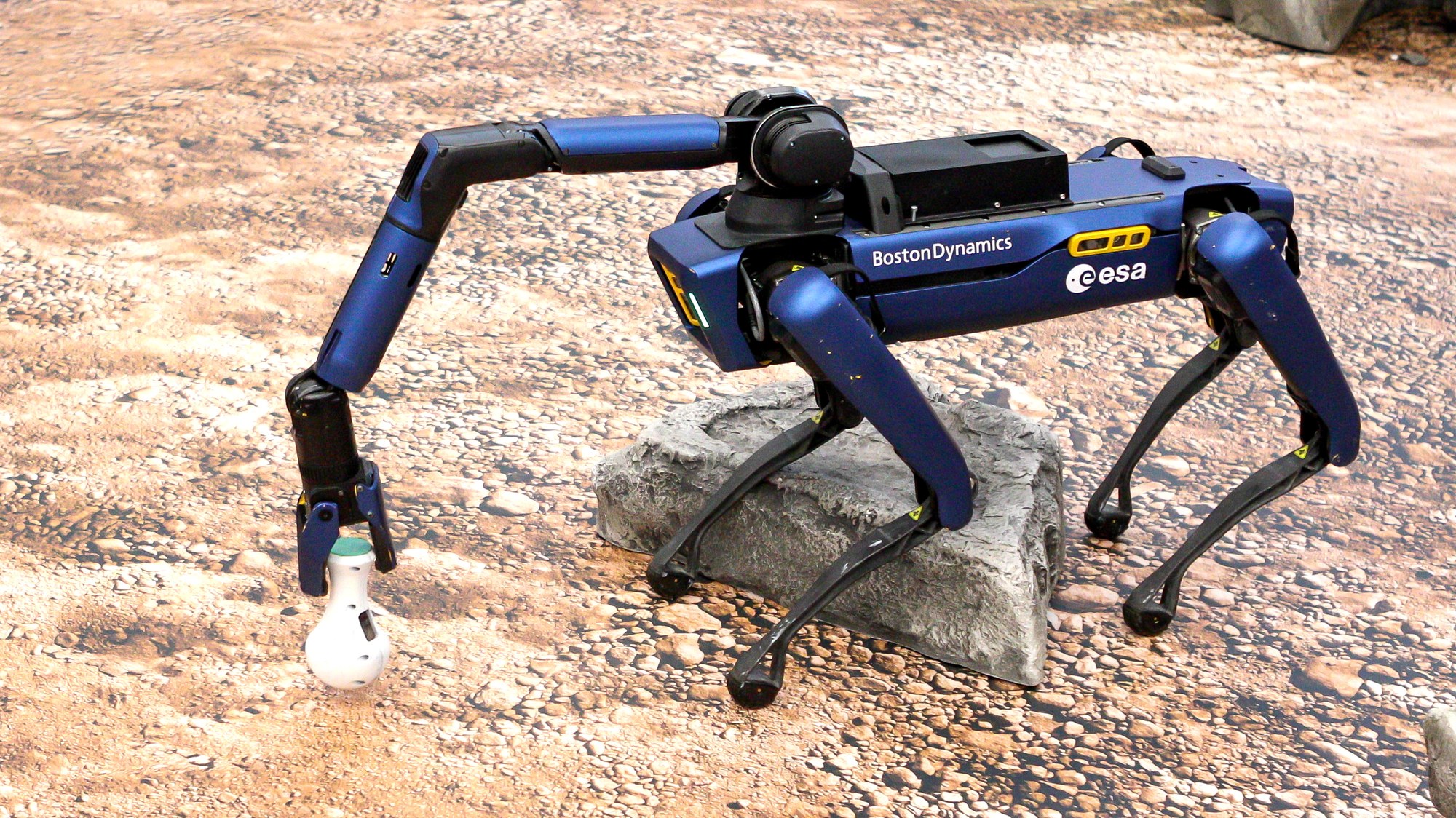 ESA-Roboter Spot mit Gesteinsprobe